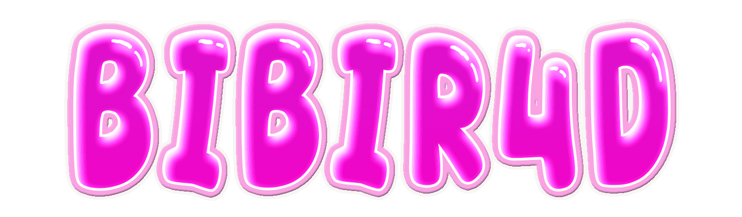 BIBIR4D
